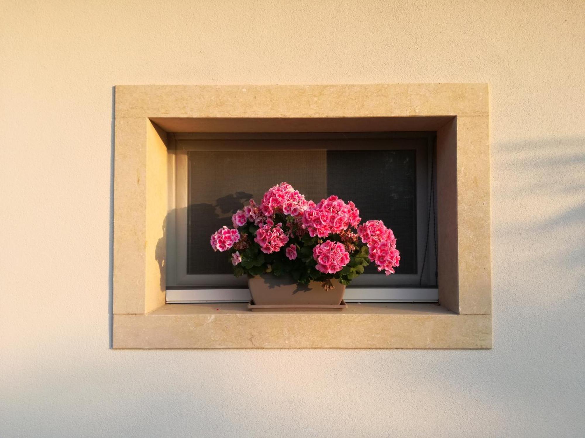 לינה וארוחת בוקר ברדולינו Relais Colle San Giorgio מראה חיצוני תמונה